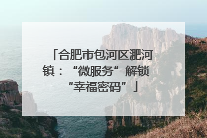 合肥市包河区淝河镇：“微服务”解锁“幸福密码”