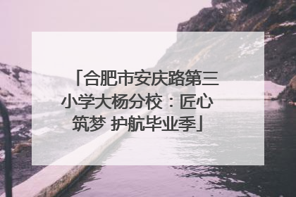 合肥市安庆路第三小学大杨分校：匠心筑梦 护航毕业季