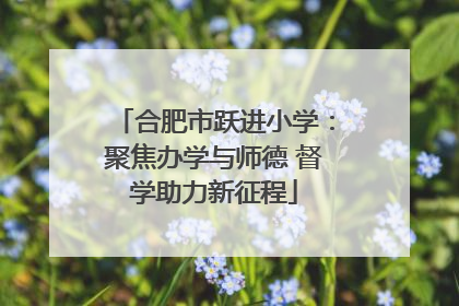 合肥市跃进小学：聚焦办学与师德 督学助力新征程