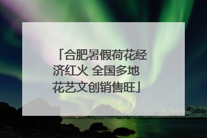 合肥暑假荷花经济红火 全国多地花艺文创销售旺