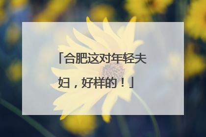 合肥这对年轻夫妇，好样的！