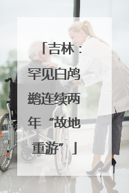 吉林：罕见白鸬鹚连续两年“故地重游”