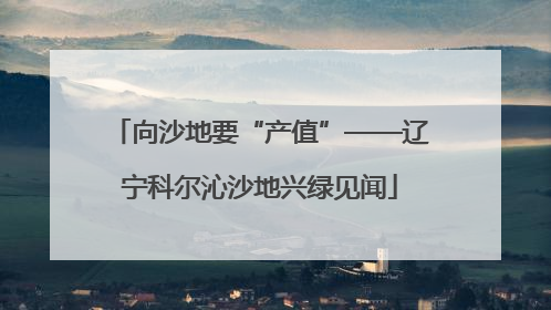 向沙地要“产值”——辽宁科尔沁沙地兴绿见闻