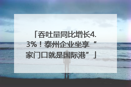 吞吐量同比增长4.3%！泰州企业坐享“家门口就是国际港”