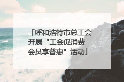 呼和浩特市总工会开展“工会促消费 会员享普惠”活动
