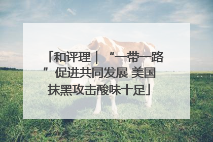 和评理｜“一带一路”促进共同发展 美国抹黑攻击酸味十足