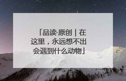品读·原创｜在这里，永远想不出会遇到什么动物