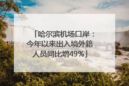 哈尔滨机场口岸：今年以来出入境外籍人员同比增49%