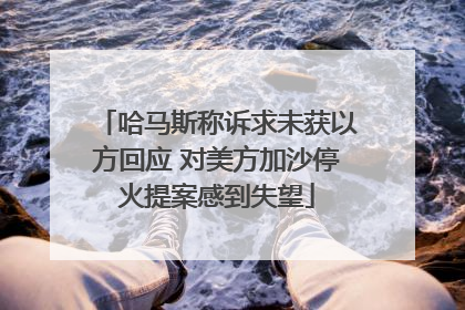 哈马斯称诉求未获以方回应 对美方加沙停火提案感到失望