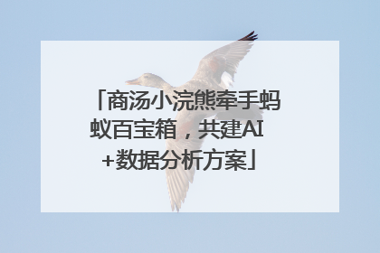 商汤小浣熊牵手蚂蚁百宝箱，共建AI+数据分析方案