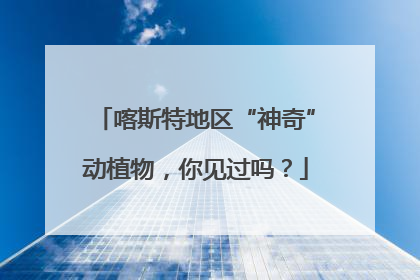喀斯特地区“神奇”动植物，你见过吗？