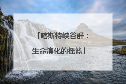 喀斯特峡谷群：生命演化的摇篮