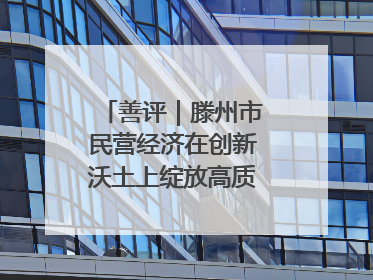 善评｜滕州市民营经济在创新沃土上绽放高质量发展之花
