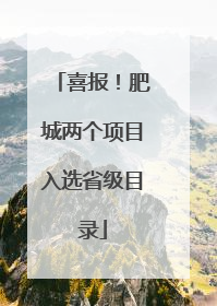 喜报！肥城两个项目入选省级目录