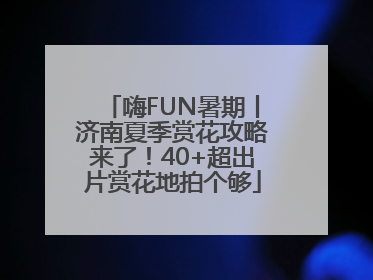 嗨FUN暑期丨济南夏季赏花攻略来了！40+超出片赏花地拍个够
