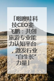 嗯噢哇科技CEO窦飞鹏：共创旅游专业能力认知平台，激发行业“自生长”力量