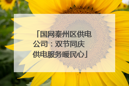 国网秦州区供电公司：双节同庆 供电服务暖民心