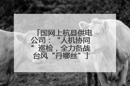 国网上杭县供电公司：“人机协同”巡检，全力备战台风“丹娜丝”