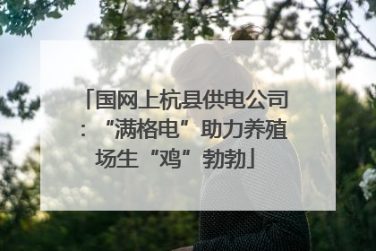 国网上杭县供电公司：“满格电”助力养殖场生“鸡”勃勃