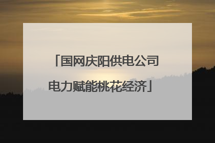 国网庆阳供电公司电力赋能桃花经济
