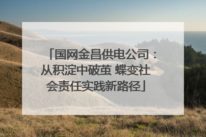 国网金昌供电公司：从积淀中破茧 蝶变社会责任实践新路径