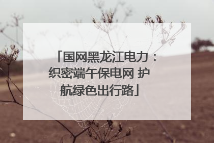 国网黑龙江电力：织密端午保电网 护航绿色出行路