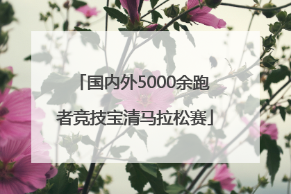 国内外5000余跑者竞技宝清马拉松赛