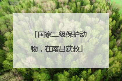 国家二级保护动物，在南昌获救