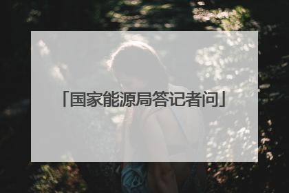 国家能源局答记者问