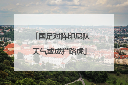 国足对阵印尼队 天气或成拦路虎