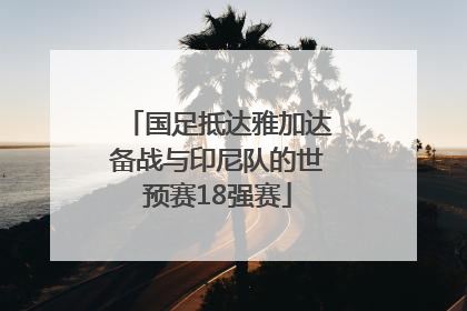 国足抵达雅加达备战与印尼队的世预赛18强赛