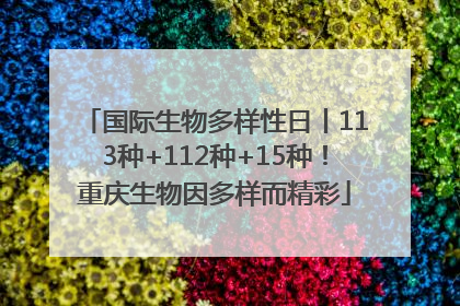 国际生物多样性日丨113种+112种+15种！重庆生物因多样而精彩