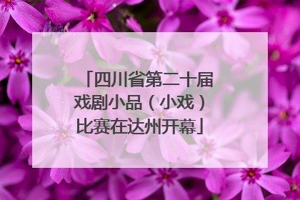 四川省第二十届戏剧小品（小戏）比赛在达州开幕