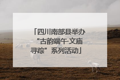 四川南部县举办“古韵端午·文庙寻踪”系列活动
