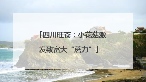 四川旺苍：小花菇激发致富大“蘑力”