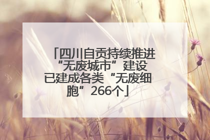 四川自贡持续推进“无废城市”建设 已建成各类“无废细胞”266个