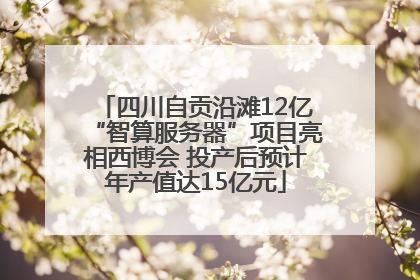 四川自贡沿滩12亿“智算服务器”项目亮相西博会 投产后预计年产值达15亿元