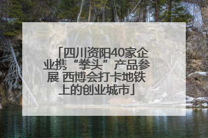 四川资阳40家企业携“拳头”产品参展 西博会打卡地铁上的创业城市