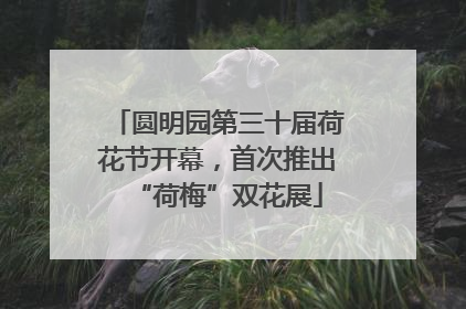 圆明园第三十届荷花节开幕，首次推出“荷梅”双花展