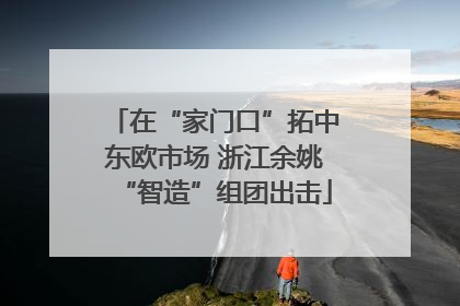 在“家门口”拓中东欧市场 浙江余姚“智造”组团出击