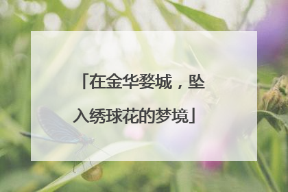 在金华婺城，坠入绣球花的梦境