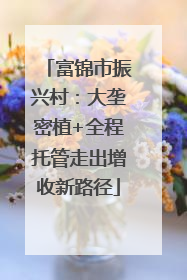 富锦市振兴村：大垄密植+全程托管走出增收新路径