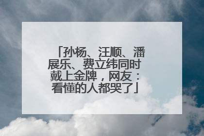 孙杨、汪顺、潘展乐、费立纬同时戴上金牌，网友：看懂的人都哭了