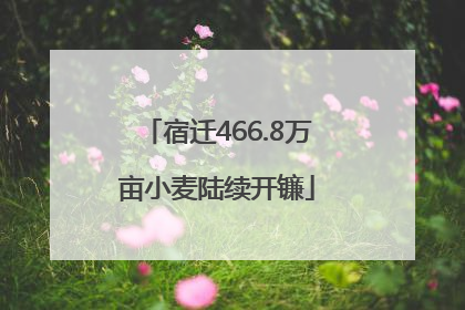 宿迁466.8万亩小麦陆续开镰