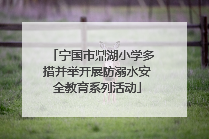 宁国市鼎湖小学多措并举开展防溺水安全教育系列活动