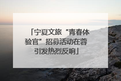 宁夏文旅“青春体验官”招募活动在蓉引发热烈反响