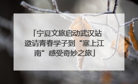宁夏文旅启动武汉站 邀请青春学子到“塞上江南”感受奇妙之旅