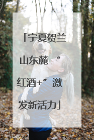 宁夏贺兰山东麓 “红酒+”激发新活力