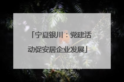 宁夏银川：党建活动促安居企业发展