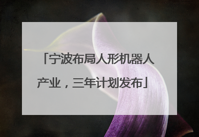 宁波布局人形机器人产业，三年计划发布